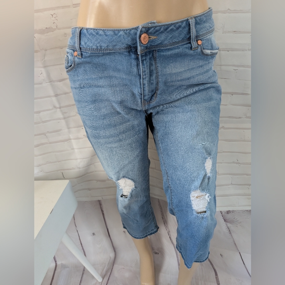 DB Established 1962 Women Cropped Jeans